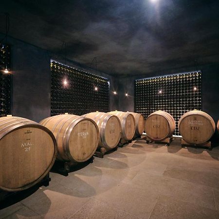 Winery Cuj Bed & Breakfast Vilanija Zewnętrze zdjęcie