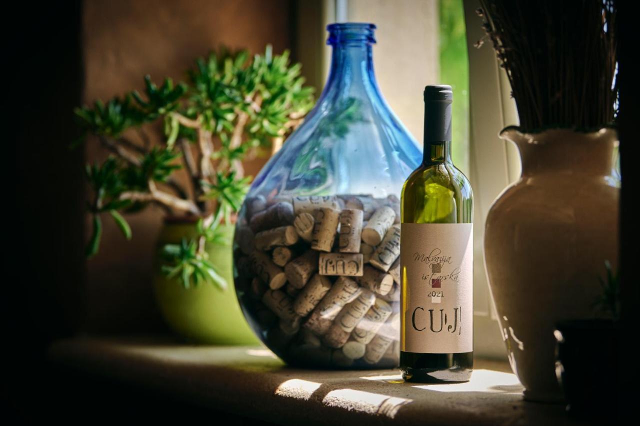 Winery Cuj Bed & Breakfast Vilanija Zewnętrze zdjęcie